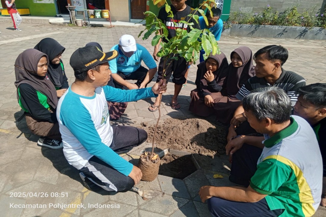 Sambut Hari Bumi Nasional, Tim Pokja Adiwiyata MTsN 6 Pasuruan Tanam Pohon Matoa